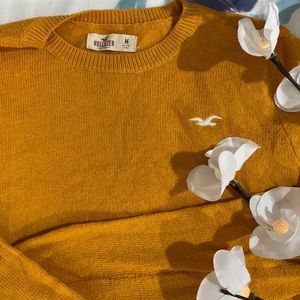 Hollister Golden/Mustard Knit Sweater